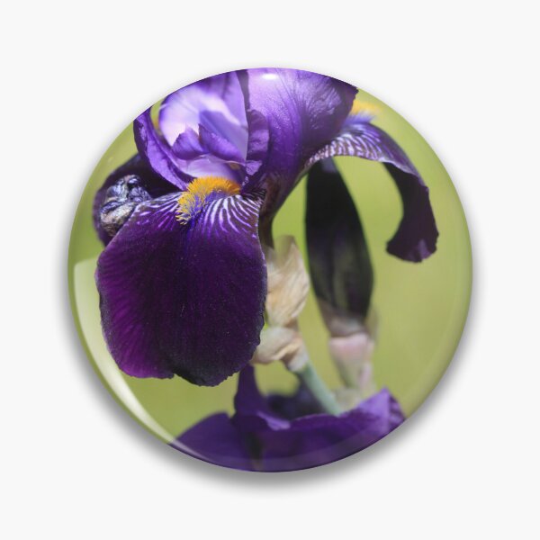 Item preview, Violet iris on nature background designed and sold by olena2552.