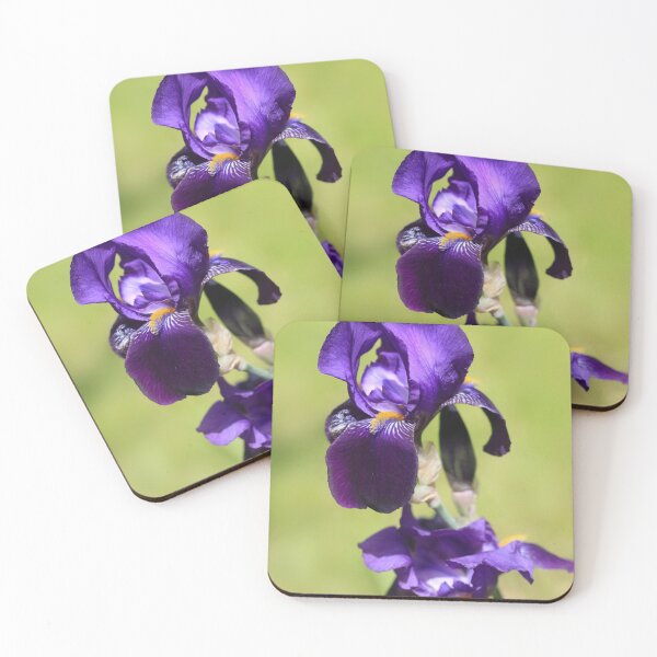 Item preview, Violet iris on nature background designed and sold by olena2552.