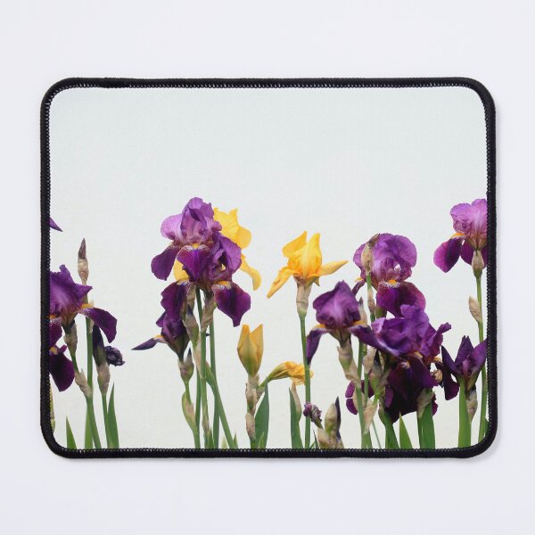 Item preview, Colorful iris on white background designed and sold by olena2552.