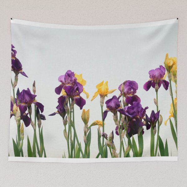 Item preview, Colorful iris on white background designed and sold by olena2552.