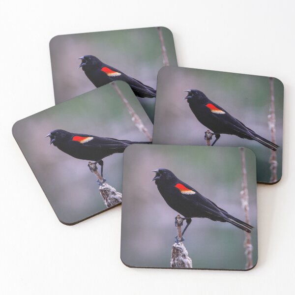 Item preview, Sound Off designed and sold by Tim Dusenberry.
