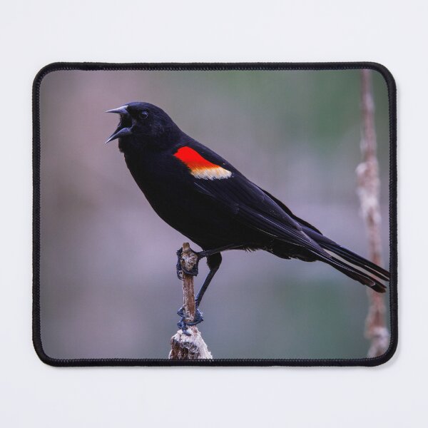 Item preview, Sound Off designed and sold by Tim Dusenberry.