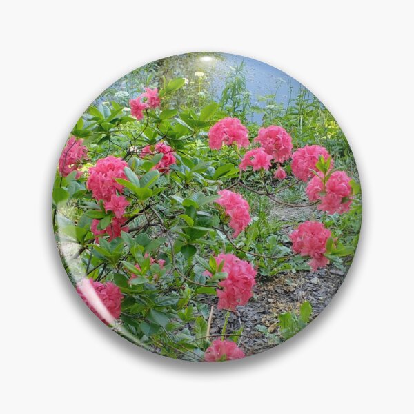 Item preview, Beautiful spring nature  designed and sold by lusiakotowska.