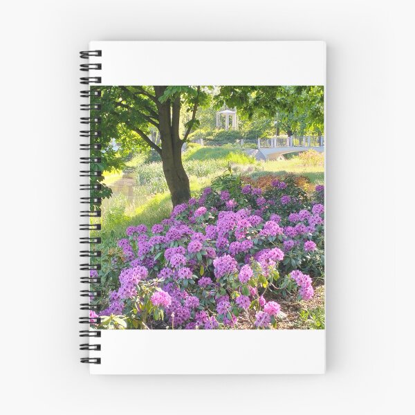 Item preview, Spring scenery in park designed and sold by lusiakotowska.