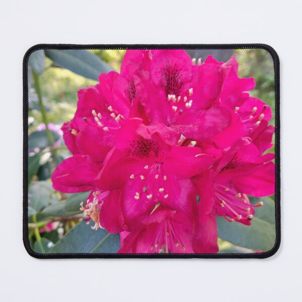 Item preview, Red rhododendron designed and sold by lusiakotowska.