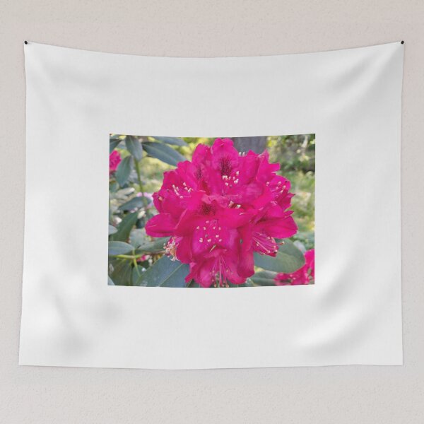 Item preview, Red rhododendron designed and sold by lusiakotowska.