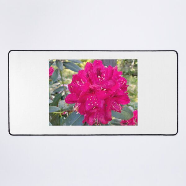 Item preview, Red rhododendron designed and sold by lusiakotowska.