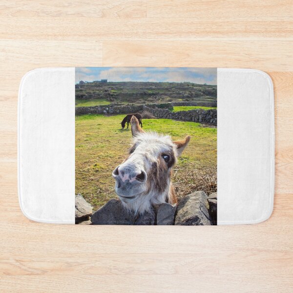 Item preview, Aran Islands Donkey designed and sold by irishmurr.