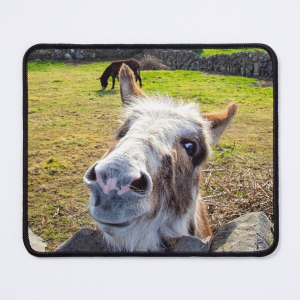 Item preview, Aran Islands Donkey designed and sold by irishmurr.