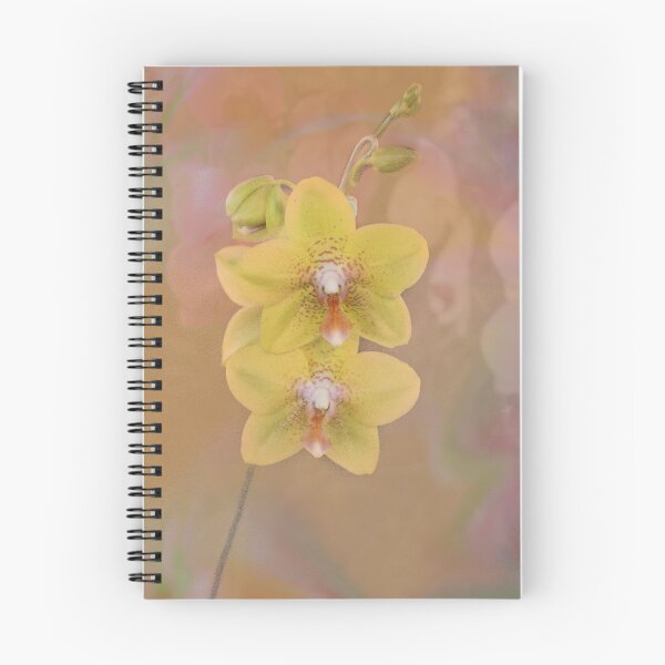 Item preview, Orchids designed and sold by Bernai Velarde.