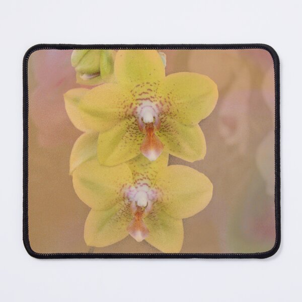 Item preview, Orchids designed and sold by Bernai Velarde.