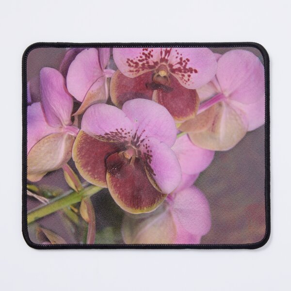 Item preview, Orchids designed and sold by Bernai Velarde.