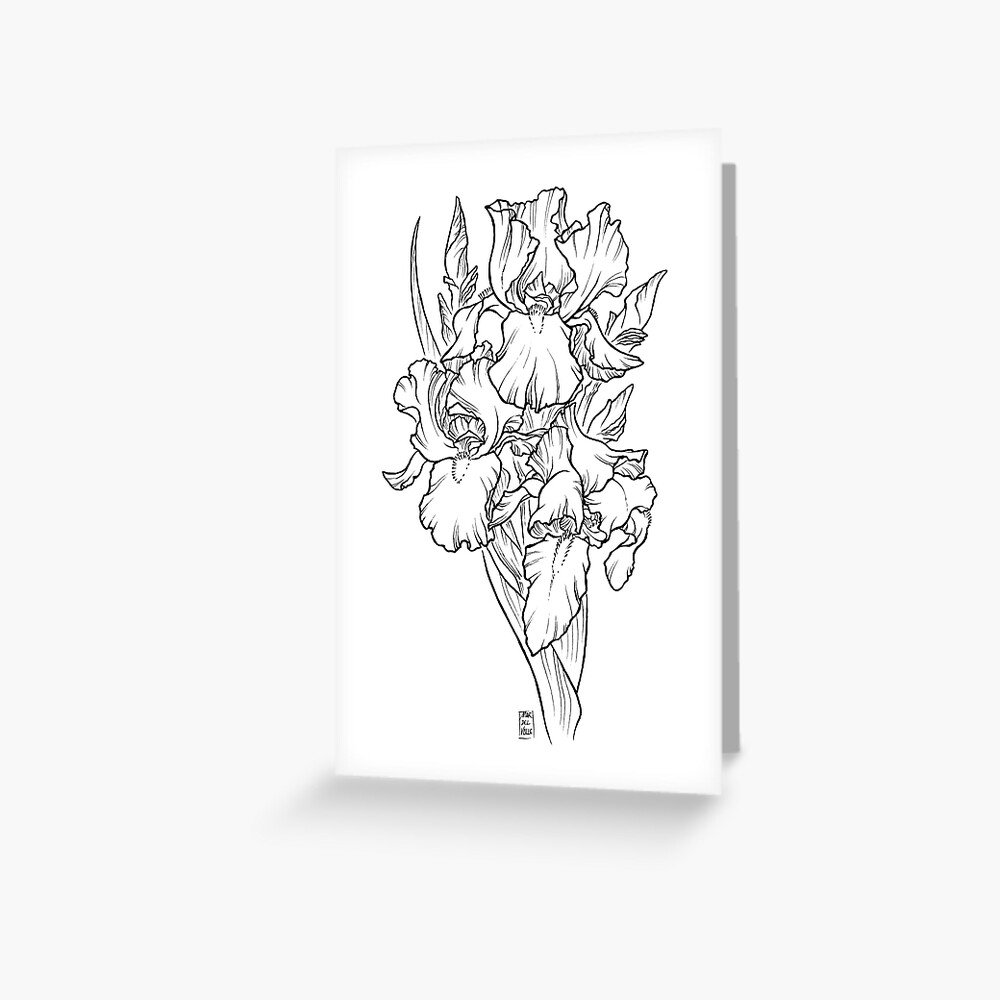 Irises - Black Line Greeting Card