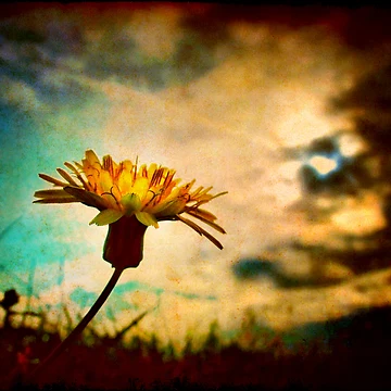 Artwork thumbnail, Humility by Toni Verdú Carbó