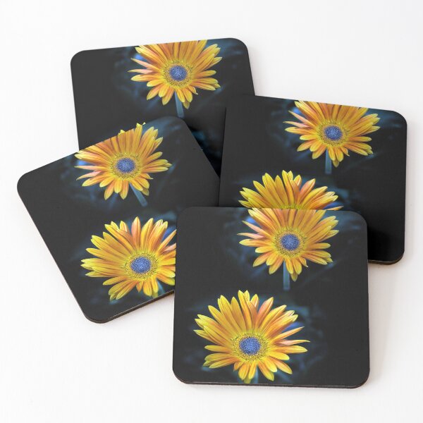 Item preview, African Daisies designed and sold by Tom McPherson Photography.
