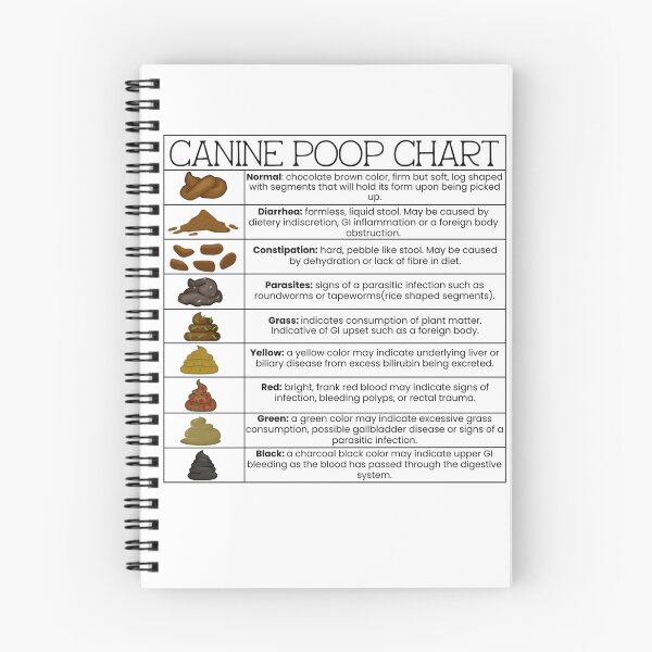 Item preview, Canine Poop Chart designed and sold by introVETed.