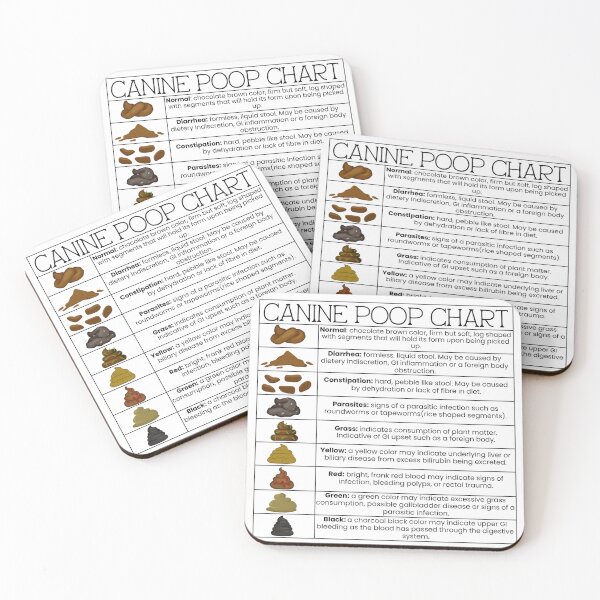 Item preview, Canine Poop Chart designed and sold by introVETed.