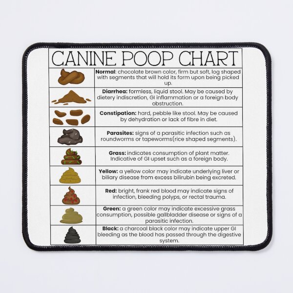 Item preview, Canine Poop Chart designed and sold by introVETed.