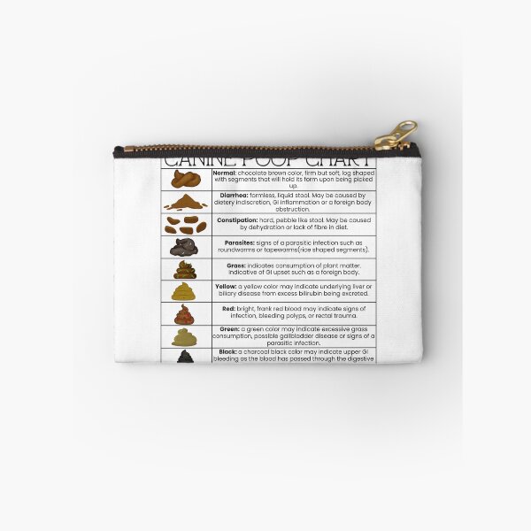 Item preview, Canine Poop Chart designed and sold by introVETed.