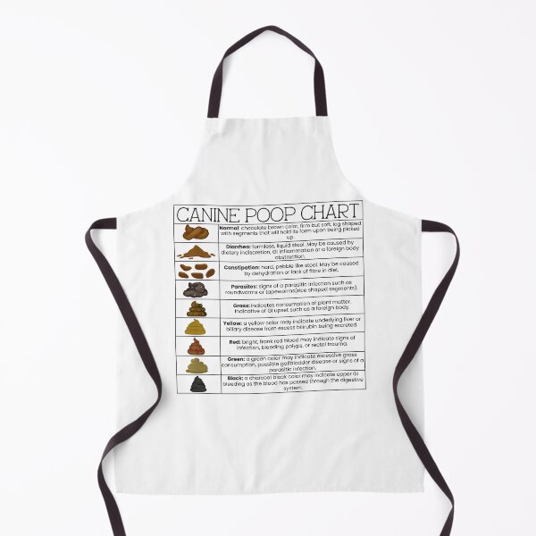 Item preview, Canine Poop Chart designed and sold by introVETed.