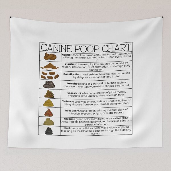 Item preview, Canine Poop Chart designed and sold by introVETed.