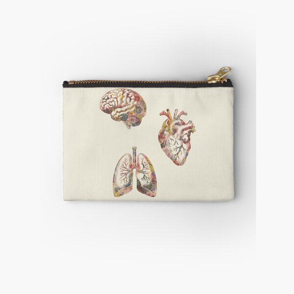 Item preview, A set of human organ, lungs, heart and brain, lung, heart, brain, anatomy, medicine, organ, medical, pulmonology, cardiology, neurology, anatomical, science, scientist designed and sold by Collagedream.