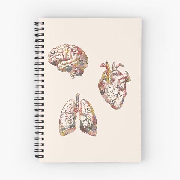 Item preview, A set of human organ, lungs, heart and brain, lung, heart, brain, anatomy, medicine, organ, medical, pulmonology, cardiology, neurology, anatomical, science, scientist designed and sold by Collagedream.