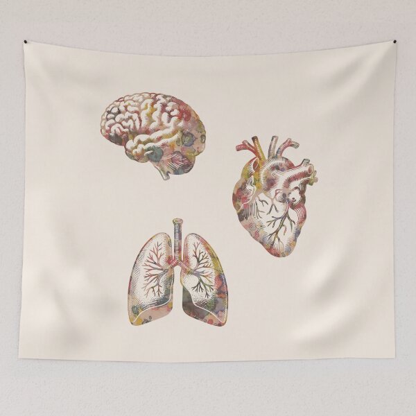 Item preview, A set of human organ, lungs, heart and brain, lung, heart, brain, anatomy, medicine, organ, medical, pulmonology, cardiology, neurology, anatomical, science, scientist designed and sold by Collagedream.
