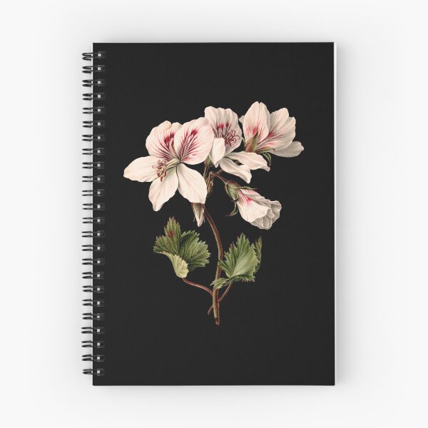 Item preview, Pelargonium Geraniums Storksbills Flowers 1830 Light Pink designed and sold by RocketshipRetro.