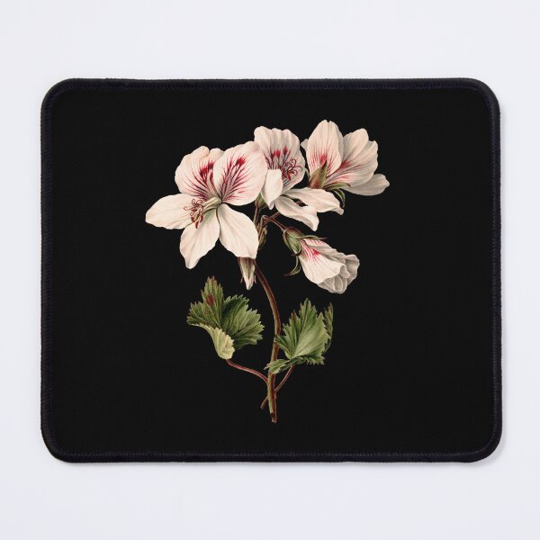 Item preview, Pelargonium Geraniums Storksbills Flowers 1830 Light Pink designed and sold by RocketshipRetro.