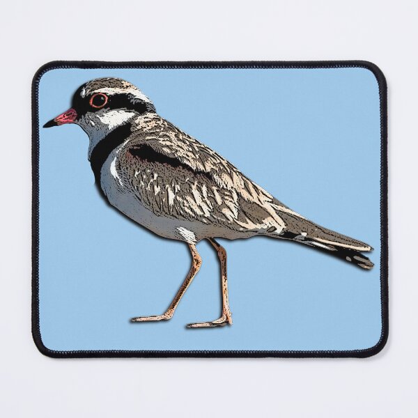 Item preview, Black-fronted Dotterel Color Design  designed and sold by designsasstultd.