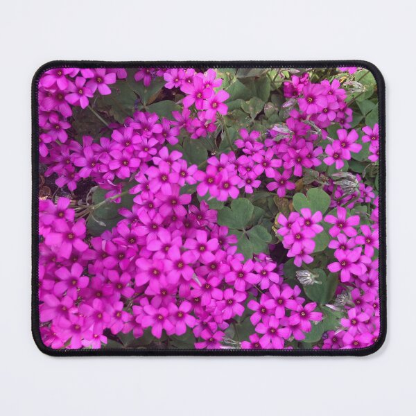 Item preview, Wow flowers designed and sold by ArtKseniia.