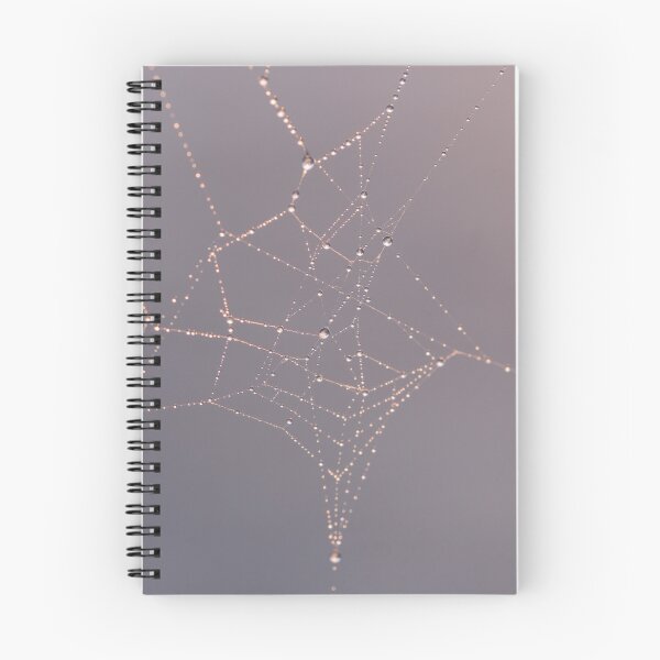 Item preview, Cobweb designed and sold by photobytableau.