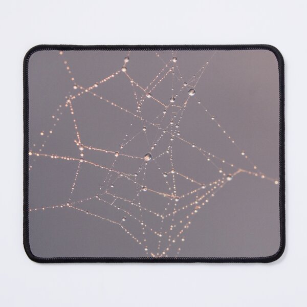 Item preview, Cobweb designed and sold by photobytableau.