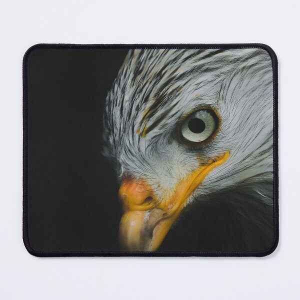 Item preview, Red Kite designed and sold by photobytableau.