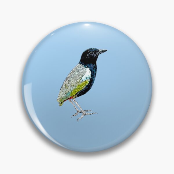 Item preview, Rainbow Pitta Black Alternate Design  designed and sold by designsasstultd.