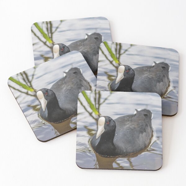 Item preview, Hawaiian coot of  Honolulu 3 designed and sold by KensLensDesigns.