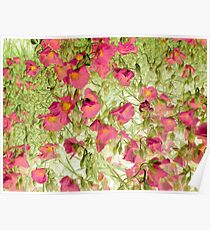 soft blossoms Poster