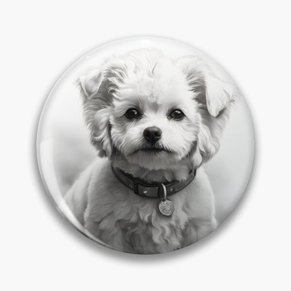 Item preview, Black and white Bichon pencil drawing designed and sold by Pencil-Art.