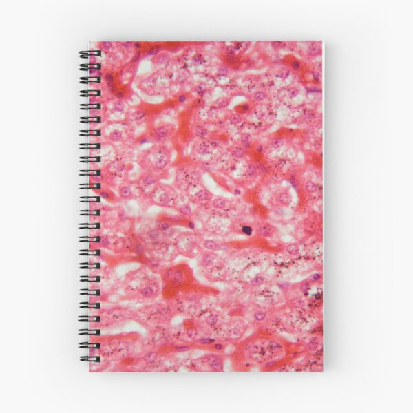 Item preview, Liver cells under the microscope designed and sold by Zosimus.