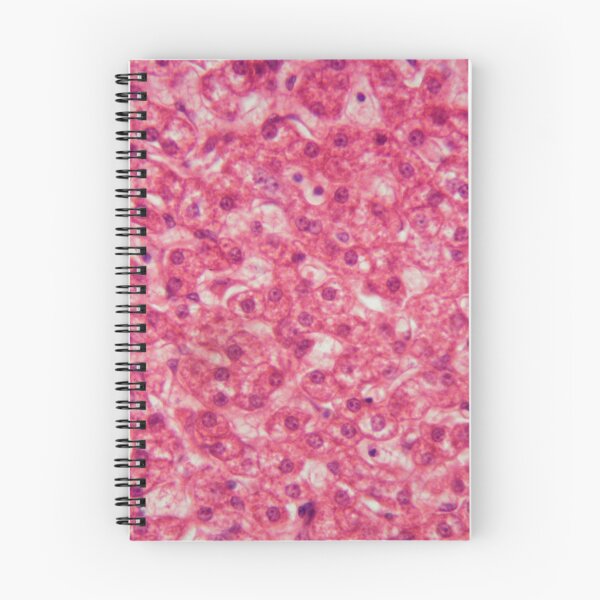 Item preview, Liver cells under the microscope designed and sold by Zosimus.