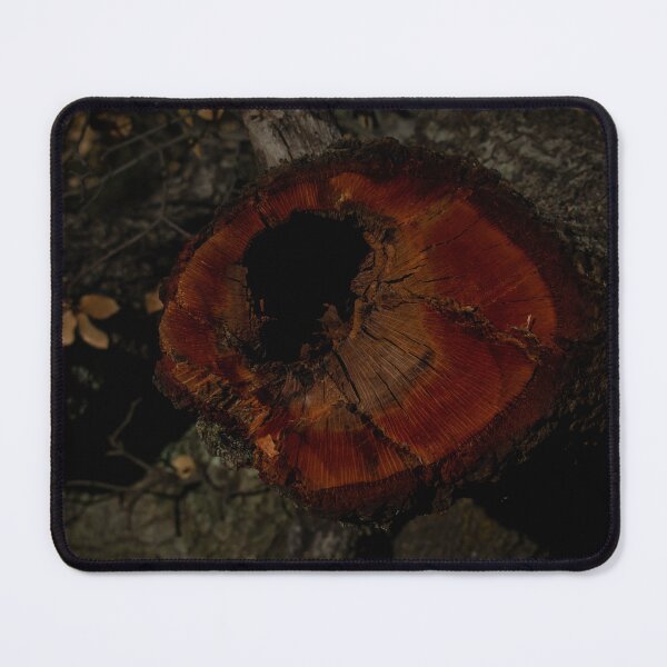 Item preview, Rotting Stump designed and sold by theblackrelic.