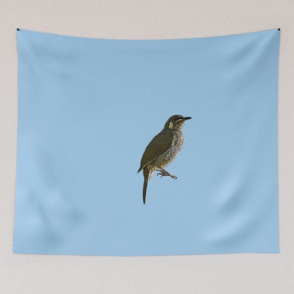 Item preview, Cryptic Honeyeater Color Design  designed and sold by designsasstultd.