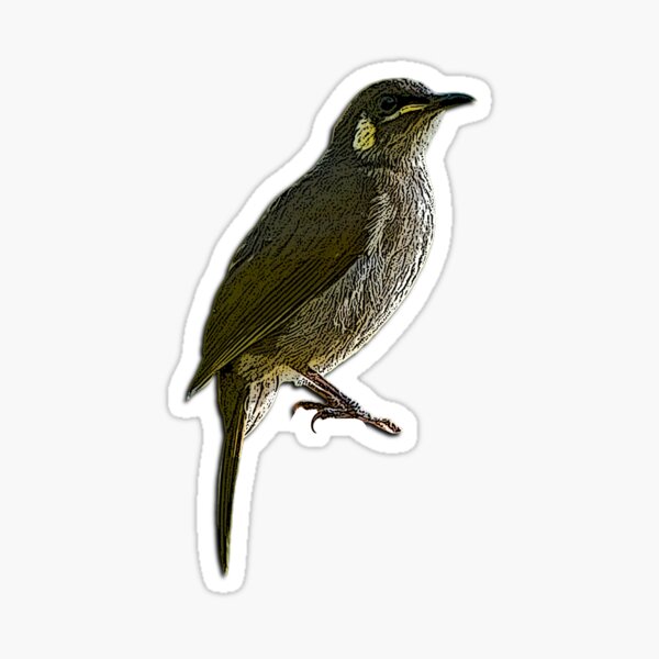 Item preview, Cryptic Honeyeater Color Design  designed and sold by designsasstultd.