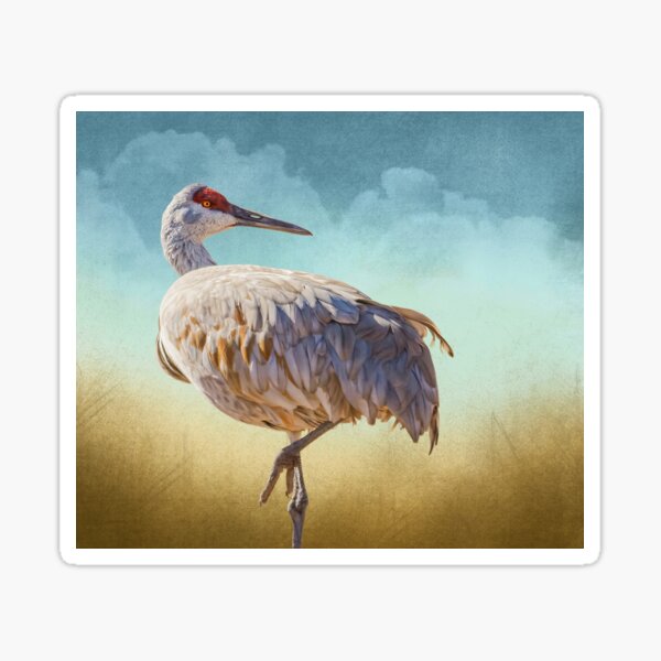 Item preview, Sandhill Crane designed and sold by Rebecca Herranen.