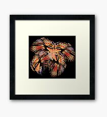 fireworks Framed Print