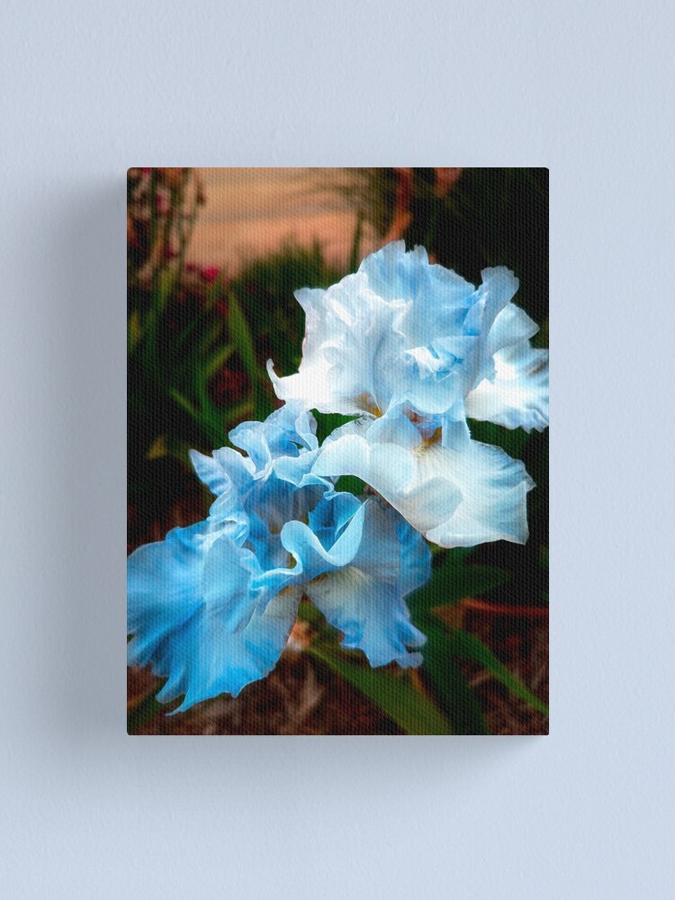Thumbnail 1 of 3, Canvas Print, Ethereal Iris designed and sold by JohnCorney.