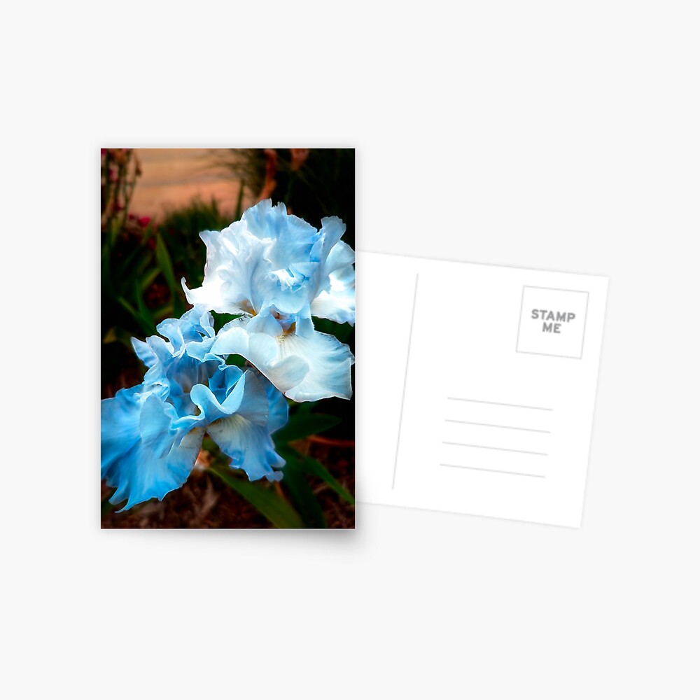 Item preview, Postcard designed and sold by JohnCorney.