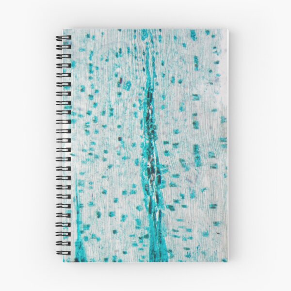 Item preview, Pine wood under the microscope designed and sold by Zosimus.