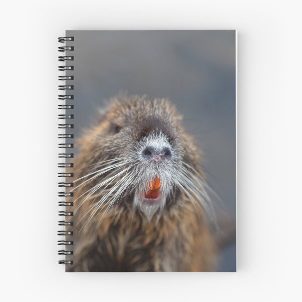 Item preview, Face of a Coypu or Nutria designed and sold by Zosimus.